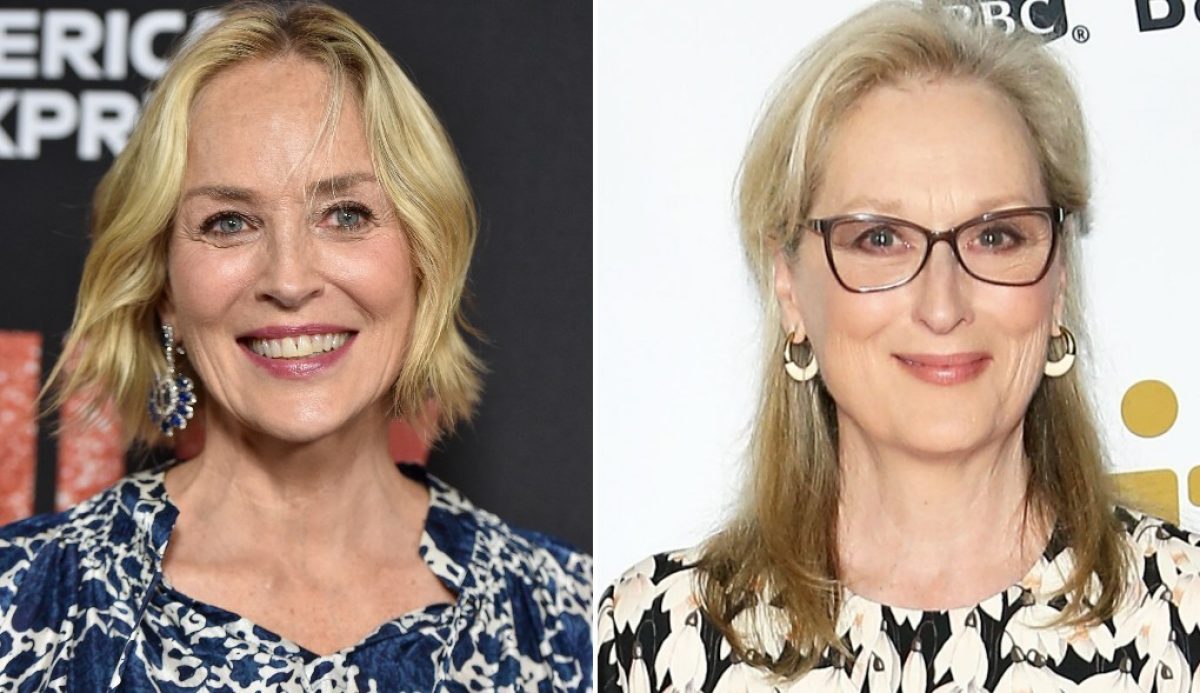 Sharon Stone's Comments On Meryl Streep Have The Internet Divided