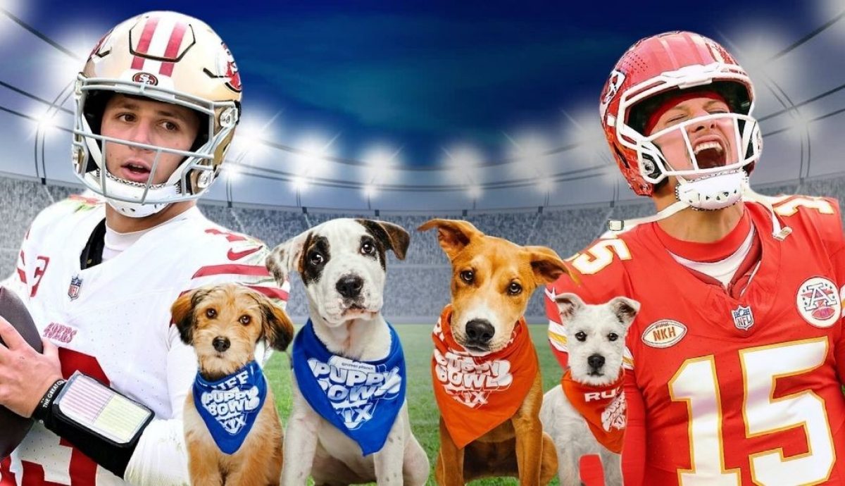 How to watch Super Bowl LVIII and the Puppy Bowl in Canada